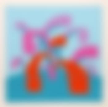 Probe (preview)