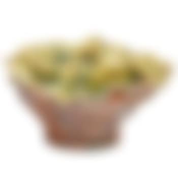 Small crumpled vessel (preview)