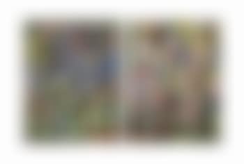 Bluebells and Snowdrops; and Gorse, Bluebells and a Butterfly (preview)