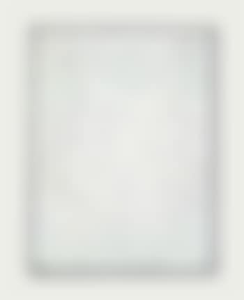 White No. 28 (preview)