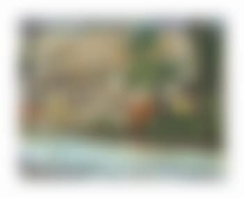 Pine House (Rooms for Rent) (preview)