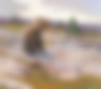 North Country (preview)