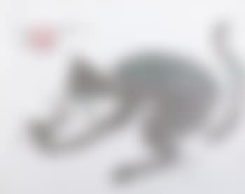 Cat (preview)