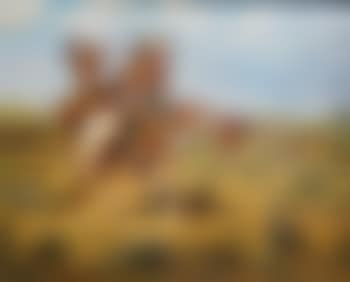 Blackfoot encounter (preview)