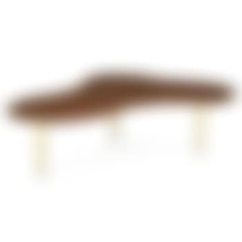 Amoeba Coffee Table (preview)