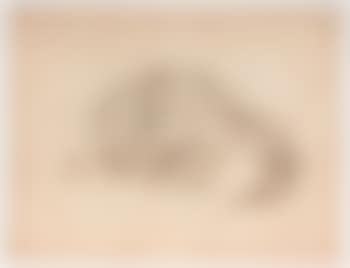 A Cat (preview)