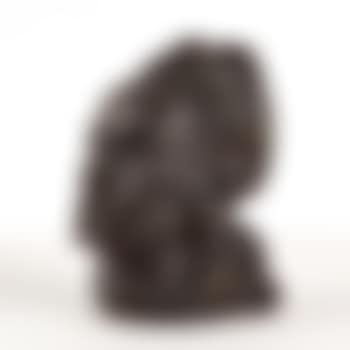 Autoportrait (preview)