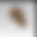 Death mask of Adolf Loos & funeral eulogy, Vienna (preview)