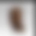 Torso, Vienna (preview)