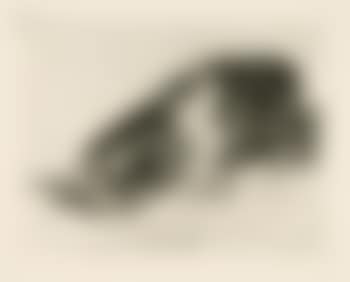 Fiero monstruo! (1); Esto es lo verdadero (2) (preview)
