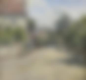 Route de campagne à Odessa (preview)