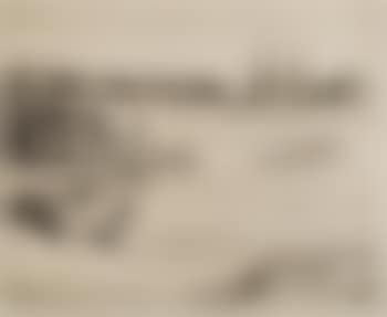 The Constitution (preview)