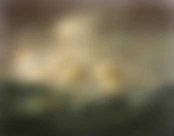 The Ship 'Wild Duck' in rough Seas (preview)