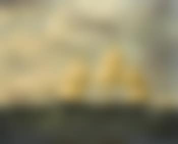 The American clipper Ship 'Tinqua' (preview)