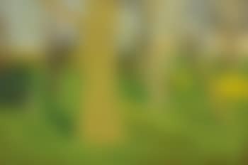 South Main Street, Spring (preview)