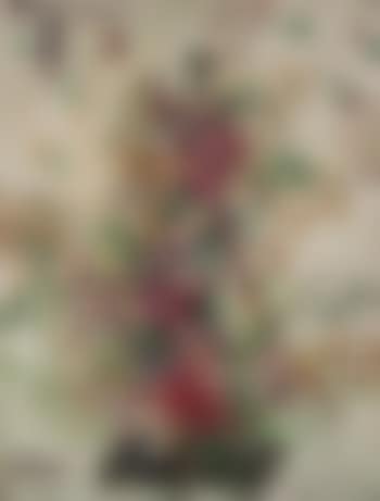 Bunga Anggrek (Orchids) (preview)