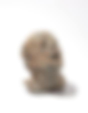 Untitled (Head with Glass Eyes and Tin Teeth) (preview)