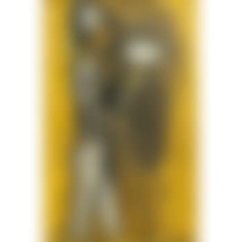 Young Clown with Pigeon (preview)