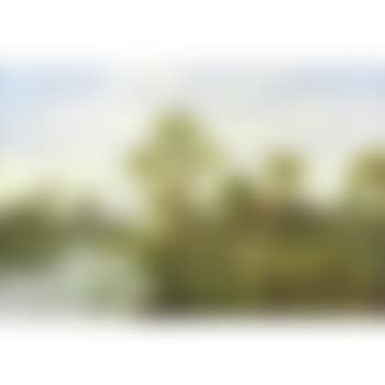 River View with Cottage (preview)