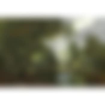 River view with Cattle and Sheep (preview)