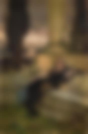 Evening Reverie (preview)