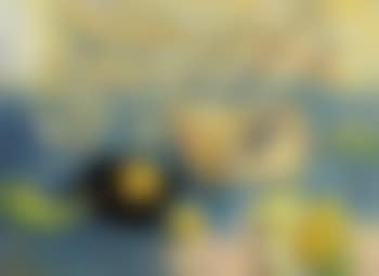 Composition au coquillage et citrons (preview)