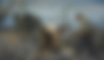 Les travailleurs au bord du lac Léman (preview)