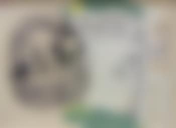 Curer of the Blind Man (preview)