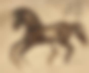 Cheval au galop (preview)