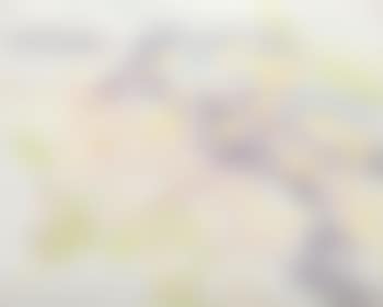 Composition (preview)