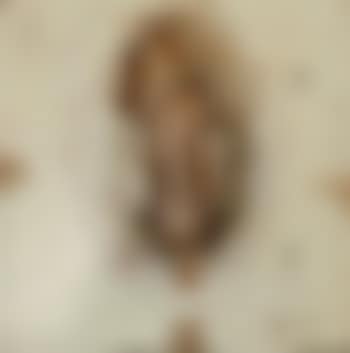 Masque (double autoportrait) (preview)