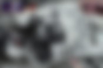 Lion (preview)