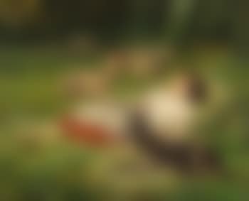 Schlafende Schäferin (preview)