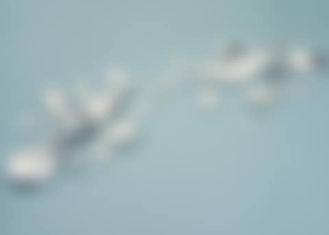 CLONEDDD MORPHOLOGY (preview)