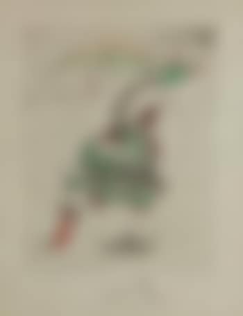 Le dragon (preview)