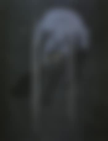 1996.1 (Triptych) (preview)