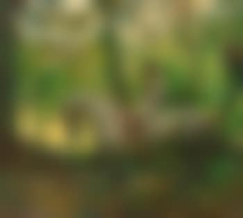 Marjory (Girl on Horseback) (preview)