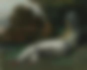 La Sieste (preview)
