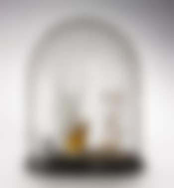 Dinner No. 0 (preview)