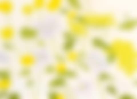 FIELD FLOWERS I (preview)