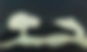 Double Wave (preview)