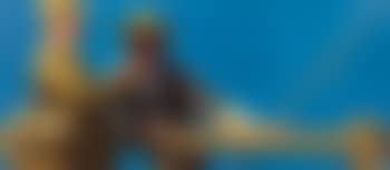 Fishing (preview)