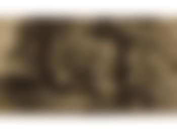 Sheep in a wooded grove (preview)