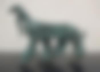 Lévrier afghan (preview)