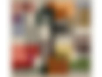 Abstract linear study (preview)