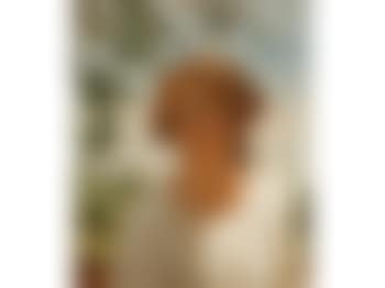 A Cornish Maiden (preview)