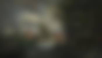 Paysage avec maisons (preview)
