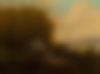Partridge (preview)