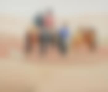 The waterhole (preview)