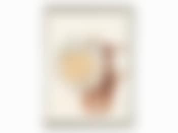 Sonnenblume Mit Krug (preview)